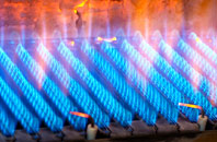 Ceunant gas fired boilers